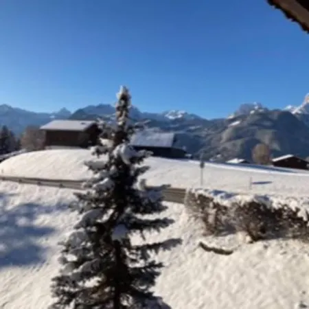 Domek alpejski Soldanella 10 Guests